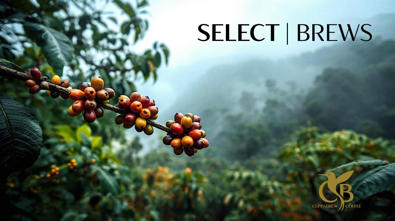 CuppaBrew  - Select Brew